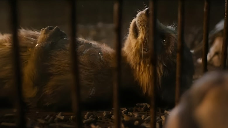 Guardians Of The Galaxy Vol. 3 Features Disturbing Scenes Of Animal Abuse, And You Should Be Prepared