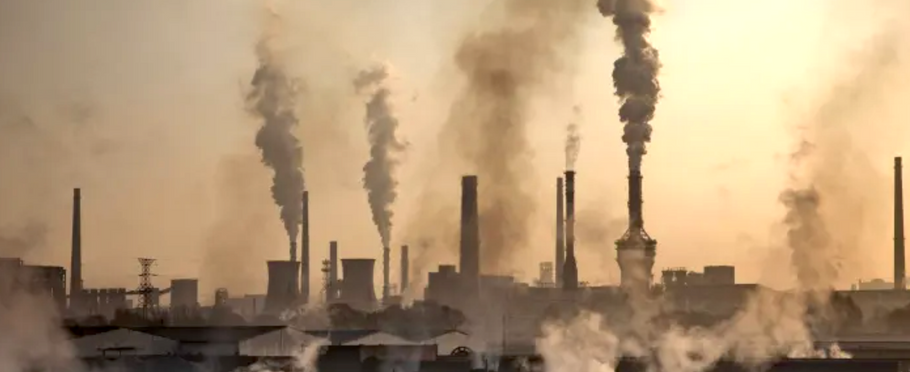 Maeve Higgins on the Toxic Power of the Political Euphemism