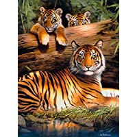 Buffalo Games Hautman Brothers Quiet Fire 1000-Piece Jigsaw Puzzle only $7.97