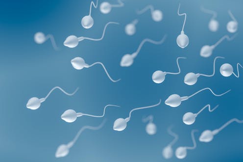 Coronavirus found in semen of young men with COVID-19