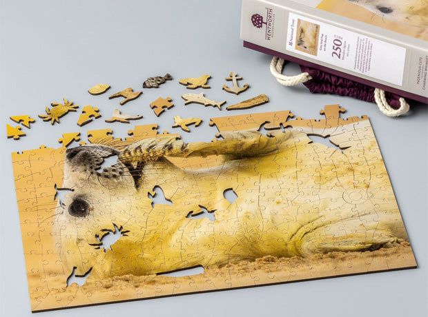 Wentworth Wooden Puzzles – New National Trust Collection