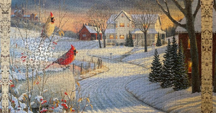 1000-Piece Jigsaw Puzzles from $8.91 on Amazon (Regularly $19)