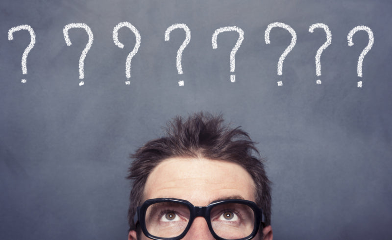 Who the Hell Did I Think I Was?