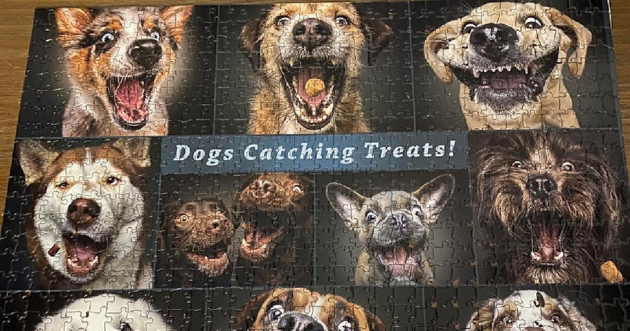 Buffalo Games Jigsaw Puzzles from $5.61 on Target.com or Amazon