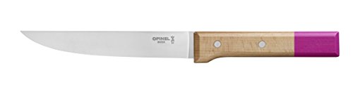 21 Best Stainless Steel Carving Knives