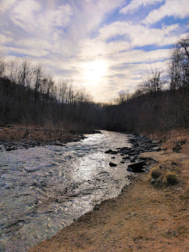 Thursday, March 31, 2022, Lin Josephson