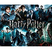 1000-Piece Harry Potter Jigsaw Puzzle only $8.43
