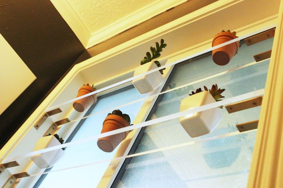 How To Cut Plexiglass: It’s Time To Expand Your DIY Skills