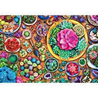 Buffalo Games Succulent Season 2000-Piece Jigsaw Puzzle only $13.97