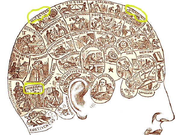 A HOLE IN THE HEAD, Phineas  Gage