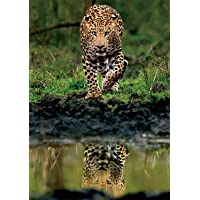 Buffalo Games Allure of The Untamed 500 Piece Jigsaw Puzzle only $6.09