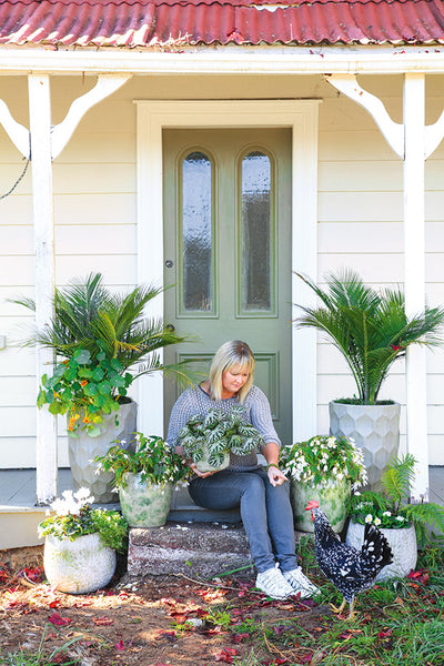 Lynda Hallinan’s tiny treasured-filled cottage is an ode to her favourite things