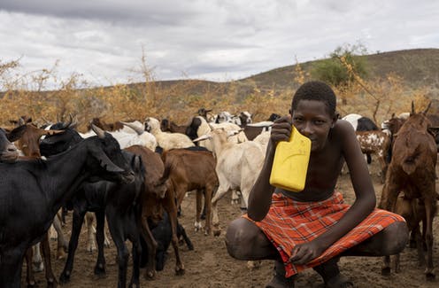 Embracing uncertainty: what Kenyan herders can teach us about living in a volatile world
