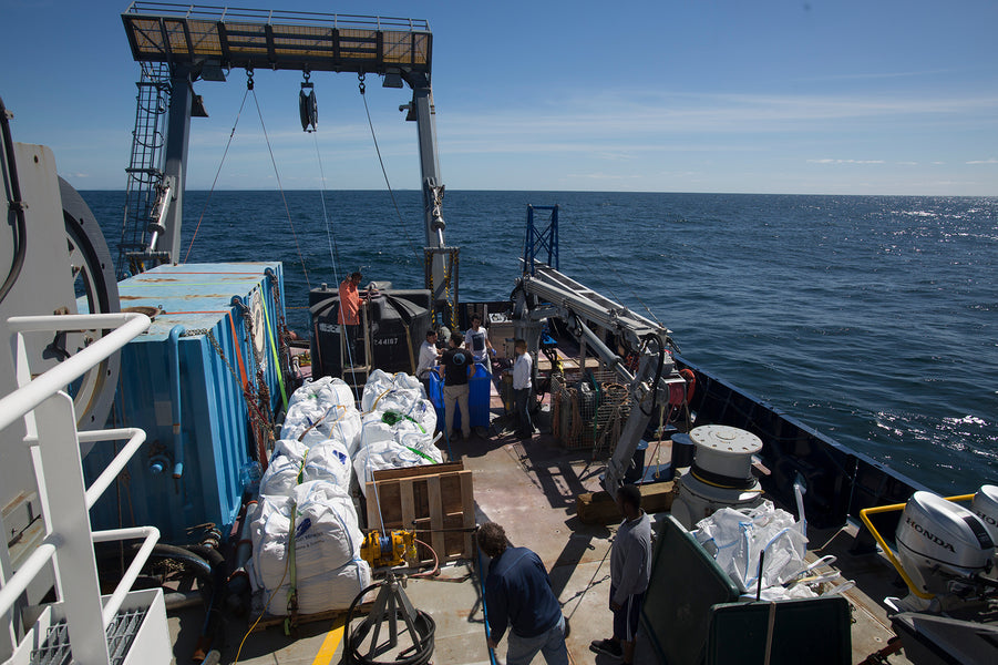What will happen to sediment plumes associated with deep-sea mining?