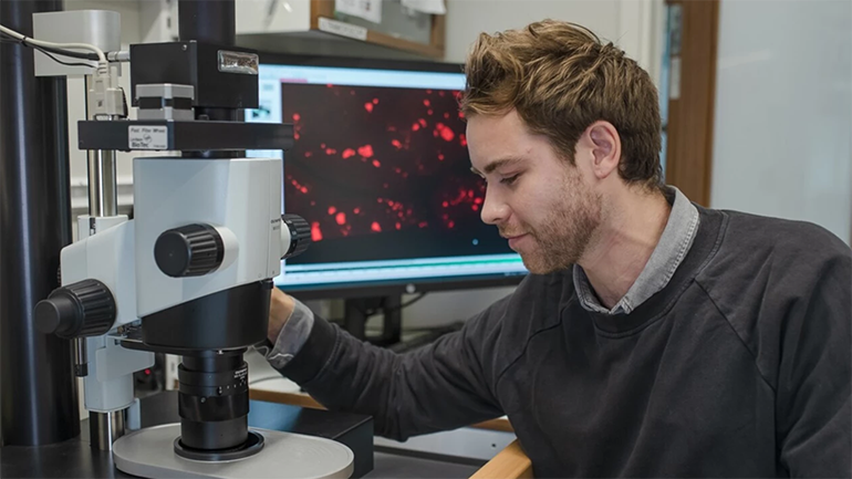 3D Microscopy of Whole Organs with Micrometer Detail