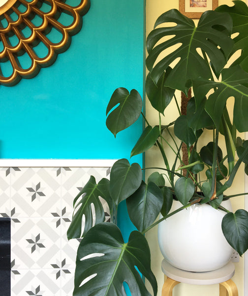 The small things that make a house a home