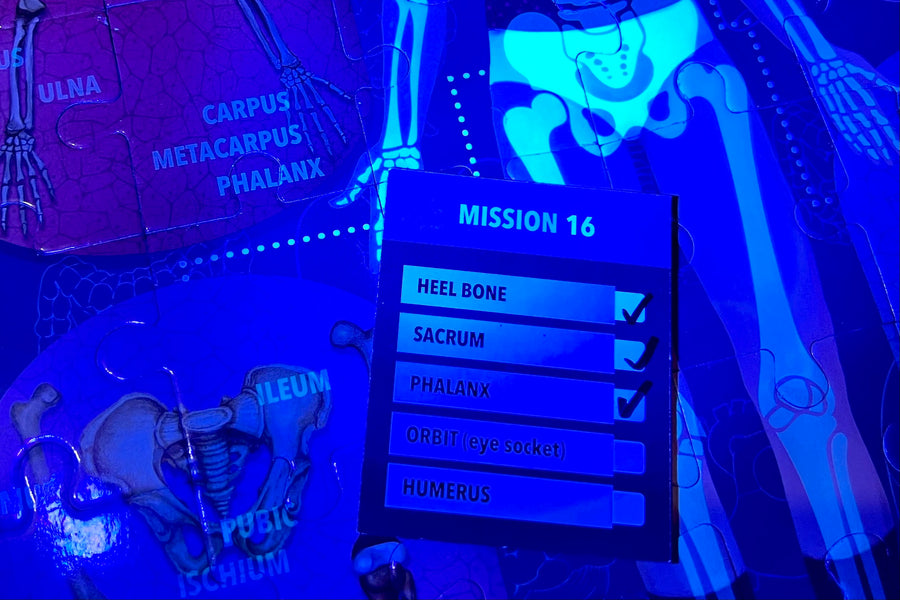 Giveaway: The Human Body Under X-Ray Jigsaw