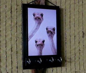 Funny Ostrich Wall Key Hanger